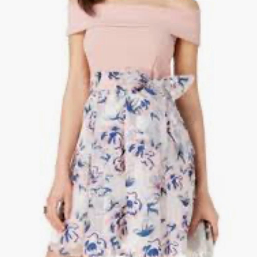 Blush and Navy Floral Dress